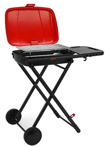 Barbecue à charbon portable pour la cuisine en plein air, barbecue pliable pour jardin, camping, randonnée, pique-nique, design portable et compact