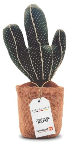 TOPANBIETER 999 Fermaporta decorativo con cactus