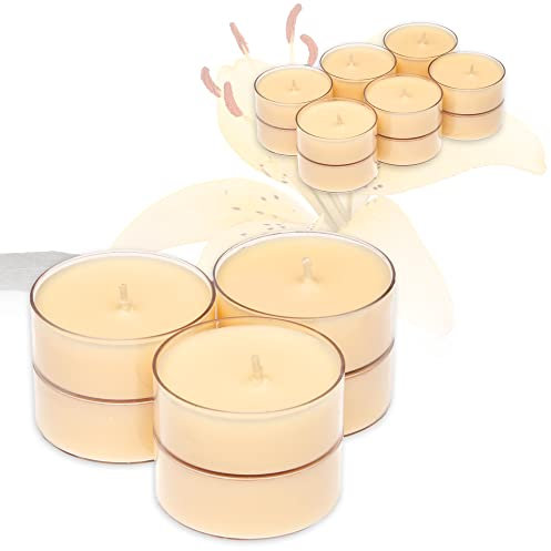 Smart-Planet 12er Set XXL Duft Kerzen Ambiente - Duftteelichter Vanille - Jumbo Teelicht in Kunststoff Hülle - 8 Std Brenndauer - Große Teelichter in Beige