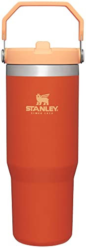STANLEY IceFlow™ - Vaso con popote abatible de 30 onzas