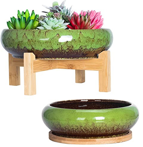 ARTKETTY Vasi per piante grasse da 18,5/25 cm con vassoi di drenaggio, grandi vasi per piante grasse con supporto rotondo per bonsai, vaso per piante da cactus da interni, confezione da 2