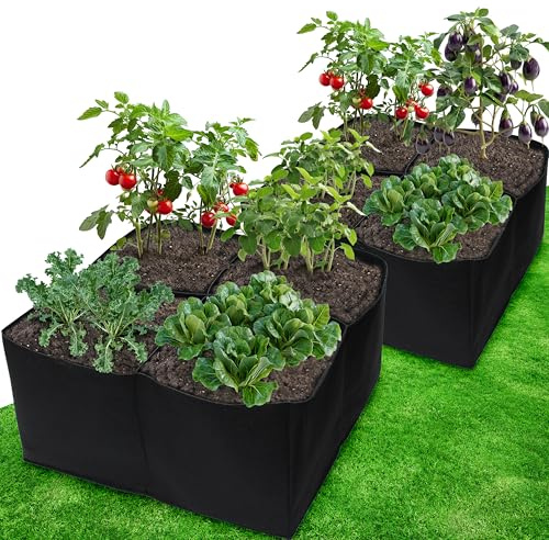 Gardzen 2 Pack Fabric Raised Garden Beds, 2x2x1 FT – 4 Grids Grow Bed for Square Foot Gardening, Planting Box for Vegetables, Herbs, Flowers