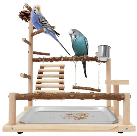 Czyurachel Vogel Spielständer, Wellensittich Spielplatz mit Leiter Schaukel, Futter- und Wassernapf, Holz-Vogelspielplatz, Papagei Vogelspielplatz, Ruheplatz für Kleine und Mittelgroße Vögel