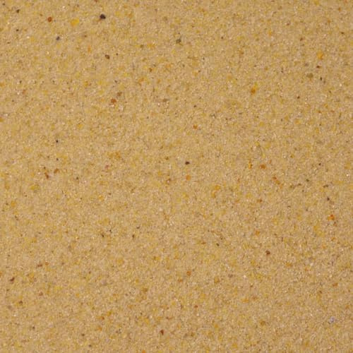 Dihl 5KG Silver Sand, Fine Grade for Aquariums, Terrariums, Bird Cages, Planters or Flowerpots. 0.3mm to 0.4mm Grain Size, Non-Toxic Natural Substrate Decoration, 5 KG
