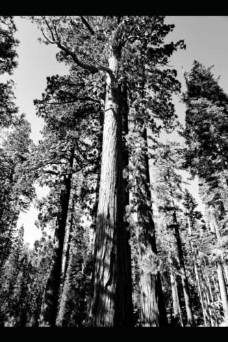 Sequoia National Park