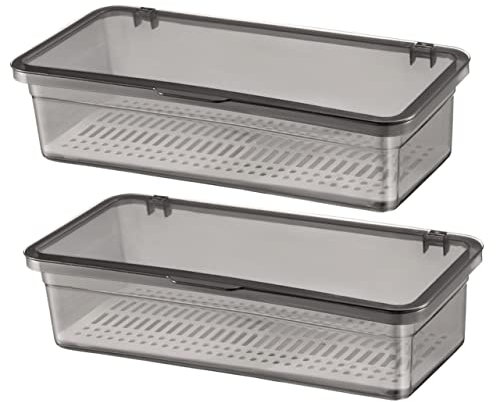 2Pcs Chopsticks Storage Box Utensil Holder for Home Multi-function Cutlery Organizer with Draining Plate Space-saving Kitchen Supplies Visible Utensil Case