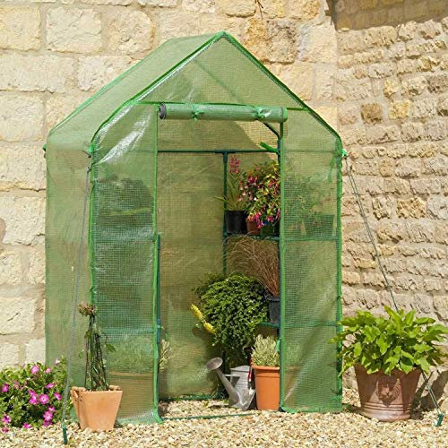 Parkland Walk In Greenhouse Cold Frame PE Plastic Outdoor Garden Steel Frame Plants Grow House