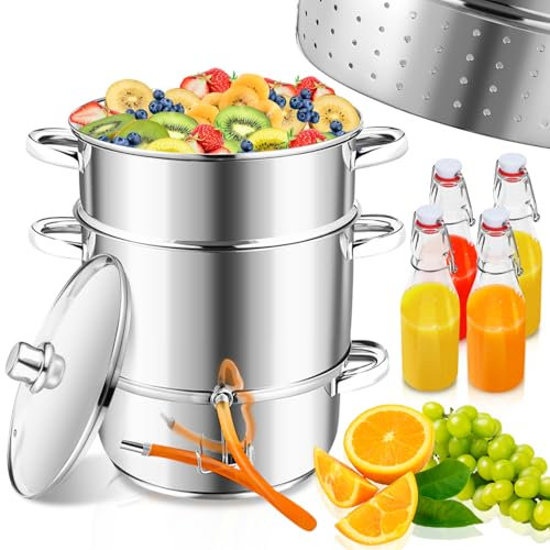 Jaxguom Exprimidor de vapor, 16 l, Ø26, acero inoxidable, incluye 4 botellas de planchado, adecuado para todo tipo de cocinas, zumo suave de frutas y verduras, apto para lavavajillas, color plateado