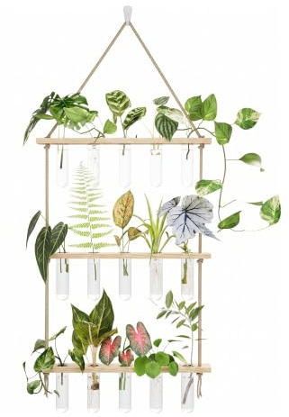 Bamworld Estación Propagación Plantas con 15 Tubos de Ensayo y Soporte Madera para Esquejes Hidrocultura Suculentas Accesorio Jardinería y Decoración Interior