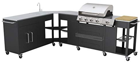 VidaXL 40428 Barbecue Zona cottura Gas Nero, Acciaio inossidabile barbecue e bistecchiera