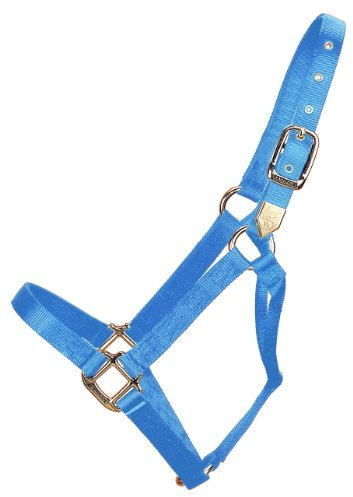 Hamilton Deluxe Horse Halter, 500-800 lbs, Berry Blue