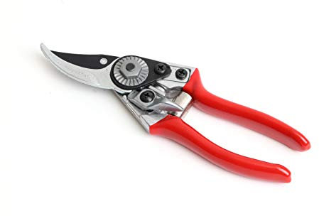 Darlac Small Bypass Secateur - Lightweight Perfect for Small Hands & Light Pruning - Tension Adjuster - SK5 High Carbon Steel Blade & Rust Resistant - Clean High-Performance Cutting