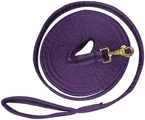 JumpTec 520108 Gepolsterte Longiergurte, Unisex, Longierleine, 520108, violett/schwarz, 8 m