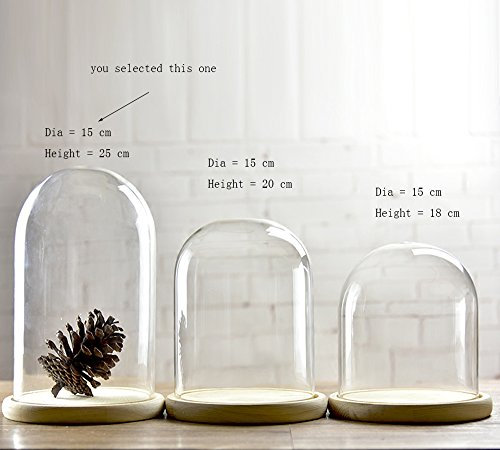 Artlass Glass Cloche Bell Jar Dome With wooden Tray Diameter 15 cm (Large)