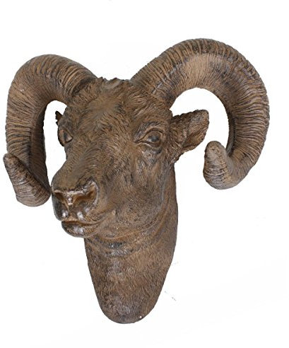 Wanddekoration Geweih Widder
