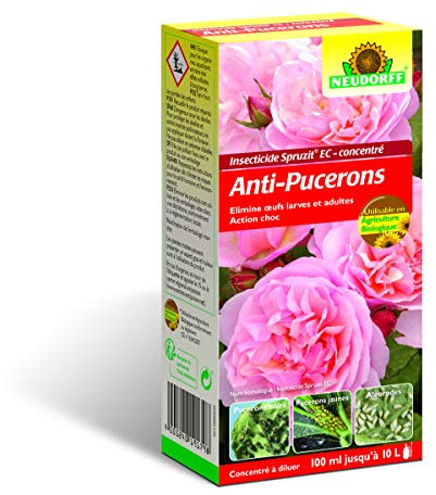 Neudorff Anti-Pucerons Spruzit Concentré, 100 ml – Traitement contre pucerons pour plantes ornementales et fleurs, insecticide biologique a base de pyrèthre contre adultes, les larves et les œufs