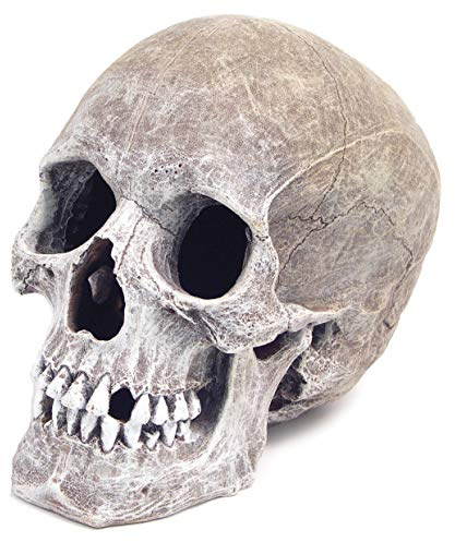Decoración de Acuario con Forma de Calavera Humana, de la Marca Rosewood