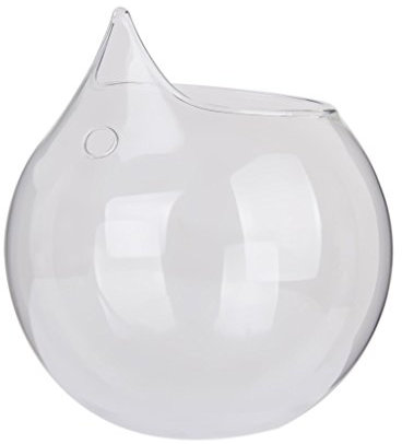 Vaso in vetro trasparente di forma sferica, da appendere, diametro dell’apertura di 5,5 cm, per piante e fiori