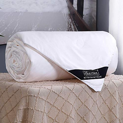 LilySilk Silk Comforter with Cotton Shell 100% Real Silk Duvet Queen 87x90 Inches, Long Strand Silk Filled, Smooth Lightweight