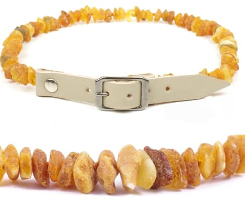 Ilikeamber.com Collier d’ambre et cuir pleine fleur pour chiens et chats Ajustable Ambre véritable Protection 100 % naturelle contre les puces et les tiques Plusieurs tailles