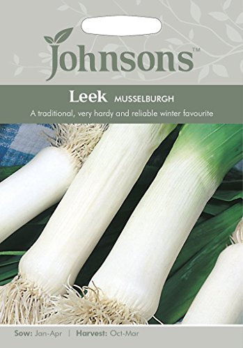 Johnsons 11912 Vegetable Seeds, Leek Musselburgh