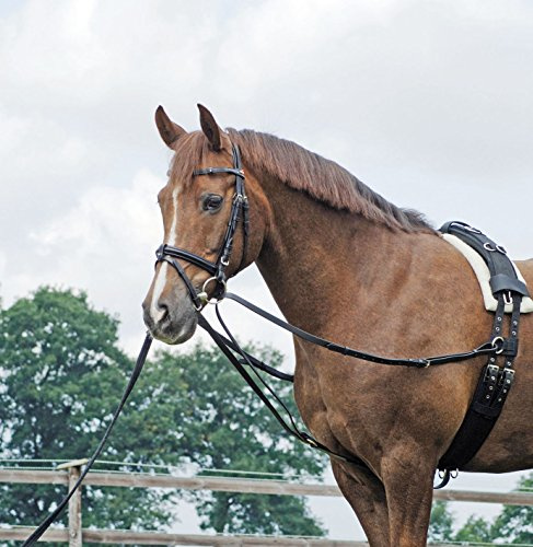 Dreieckszügel Basic, Pony, Schwarz/NP