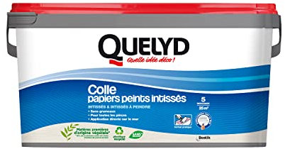 Quelyd Colle Papiers Peints Intissés en Pâte – Toutes Pièces - Application Directement Au Mur – Prête à l'Emploi – Sans Solvant – Seau de 3 kg