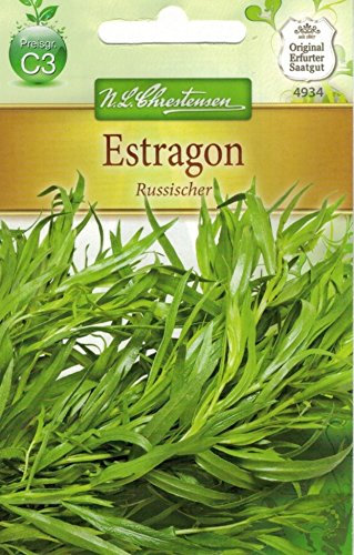 Chrestensen Estragon 'Russischer'