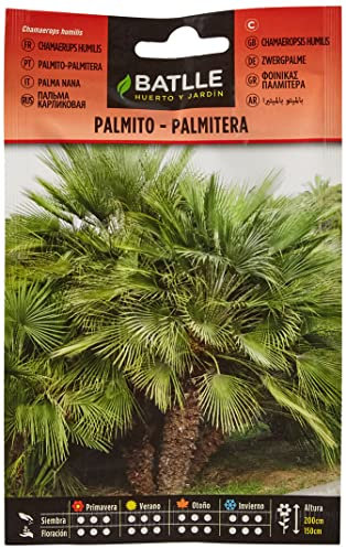 Semillas Batlle Palmito Palmitera-Chamaerops humilis