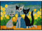 Fußmatte Lifestyle Springtime 50x75 cm Frühling Eingangsmatte bunt Blumen Katzen Fussabtreter