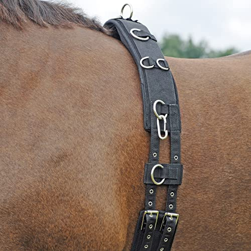 Busse Longiergurt Profi-Soft svart Pony (Umfang 160-210 cm)