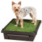 PetSafe Pet Loo tragbares Töpfchen für den Innen- und Außenbereich, Alternative zu Welpen-Pads, 3 Größen für kleine, mittelgroße und große Rassen, Small, schwarz