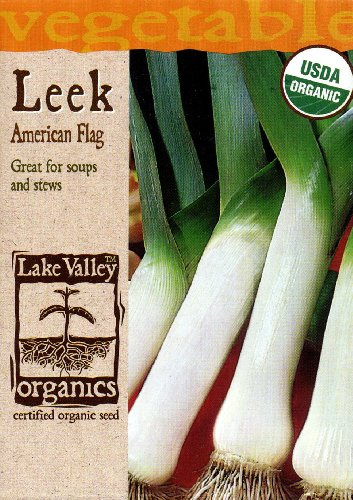 Lake Valley 3993 Organic Leek American Flag Seed Packet