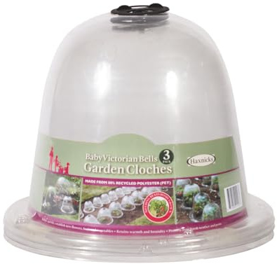Haxnicks 3 x Small Baby Victorian Bell Garden Coche | Plant Protection | Growing Vegetable | Specimen Plants | Pack of 3 Transparent, 20 x 25 cm | BELL030101