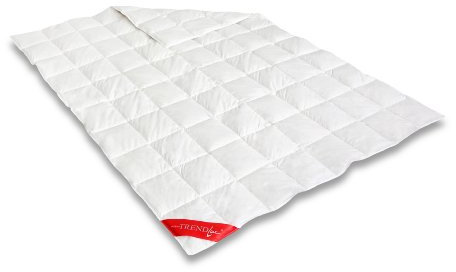 Badenia Feder-/ Daunendecke Trendline Princess leicht, 135 x 200 cm