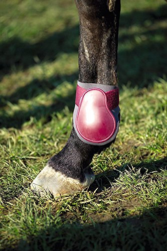 NORTON „PVC“ Streichkappen, Schale bordeauxrot, grau Neopren, Pony