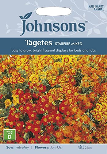 Johnsons 22043 TAGETES Starfire Mixed