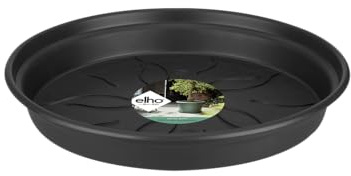 elho Green Basics Saucer 53 - Saucer for Indoor, Outdoor, Grow your Own & Accessories - Ø 55.3 x H 6.0 cm - Black/Living Black