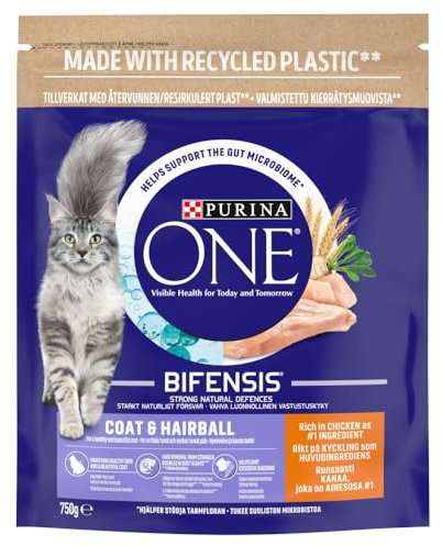 Purina ONE Adult Dry Cat Food Coat & Hairball, Rich in Chicken 750g