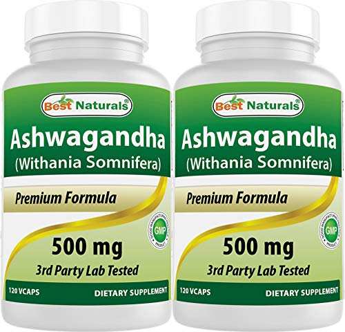 Best Naturals Ashwagandha Extract 500 Mg 120 Capsules (Pack of 2)