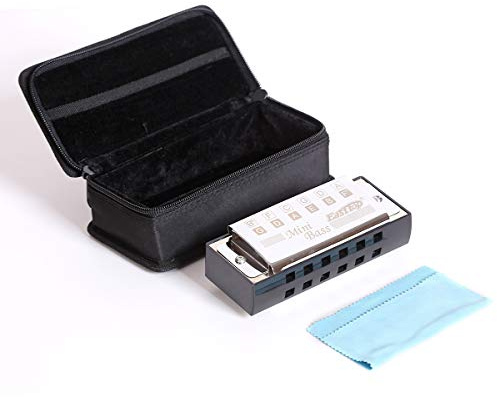 East Top Bass Harmonica Professional Orchestra Harmonica T1-1, armonica professionale per adulti, musicisti professionisti e amanti dell'armonica
