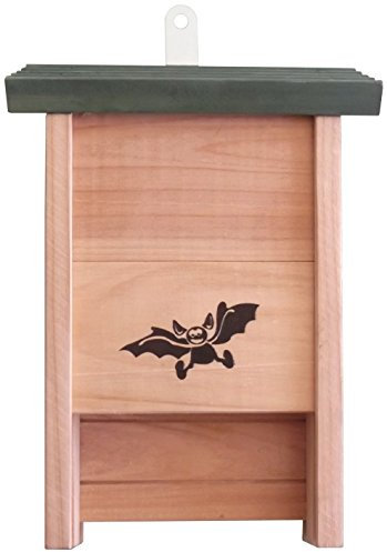 Casetta Legno Pipistrello