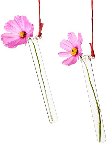 Tuuters 5 Stück Reagenzglashalter für Blumen zum Aufhängen mit Reagenzglas