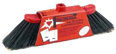 Preziosa la scopa capricciosa.
