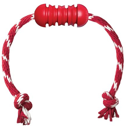 KONG Dental mit Seil - Für die Zahnpflege von Hunden - Befüllbares Kauspielzeug - Reinigt Zähne und Zahnfleisch - Für Kleine Hunde