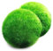 Une boule de mousse Aegagropila linnaei géante (3,8 cm à 5,1 cm) + une petite Aegagropila linnaei gratuite.Plante aquatique vivante pour aquarium pour poissons/crevettes, pour décoration de disque de combattant, ornement cristaux, diffuseur le moins cher CO2 fougère Java Anubias où acheter comment faire pousser des algues japonaises, Aegagropila Terrarium bonsaï animaux easy home Anubias Air Rare Ada Récif de corail eau de mer eau saumâtre EcoSphere.