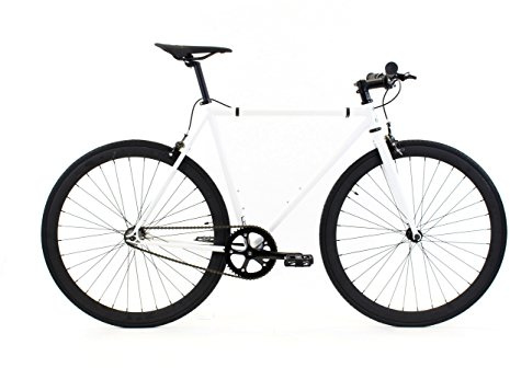 Golden Cycles Fixed Gear Single Speed Bike - Perfect Urban Commuter Bicycle with Front and Rear Brakes - Ideal for Teens and Adults - The Bike Comes in Different Sizes (48cm, Shocker)