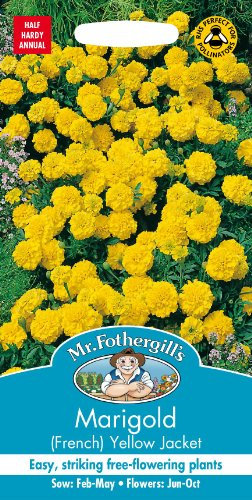 Mr Fothergills - Pictorial Packet - Flower - Marigold (French) Yellow Jacket - 60 Seeds