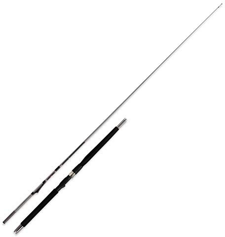 WFT Prion Inline 8' 2,40m 300-900g - FISHING_ROD - Angelrute