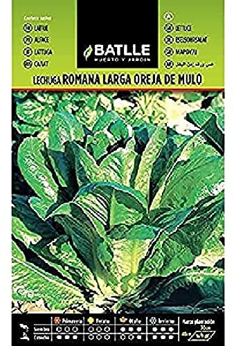 Semillas Batlle – Laitue Romaine Oreille de Mule s/n